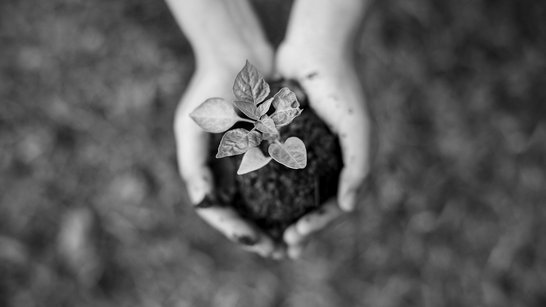 Environment and Safety Environment and Safety