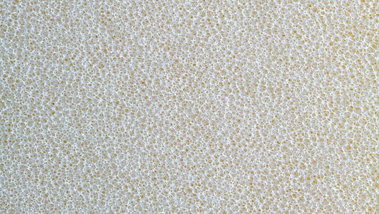 NEVEON foam.classic Xdry